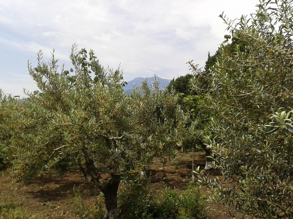 Villa Etna Piedimonte Etneo Luaran gambar